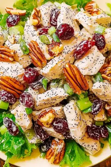 Cranberry Pecan Chicken Salad with Poppy Seed Dressing