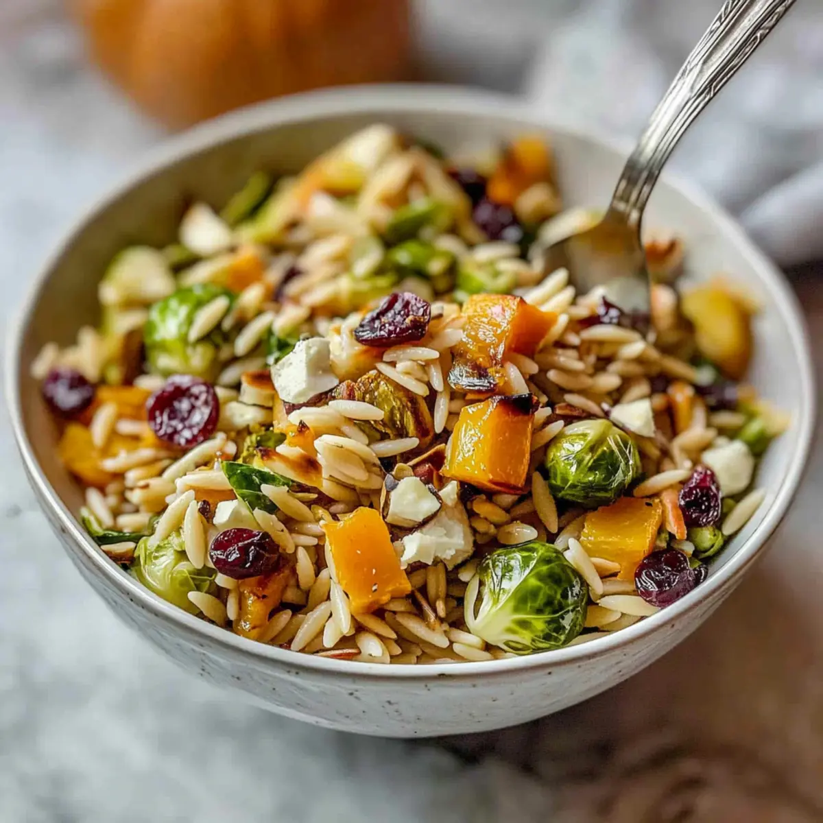 Delicious Fall Harvest Orzo Salad with Maple Vinaigrette 3 a4ea52aa b8b1 4058 82c0 acfa92a3c164br ivpu4g
