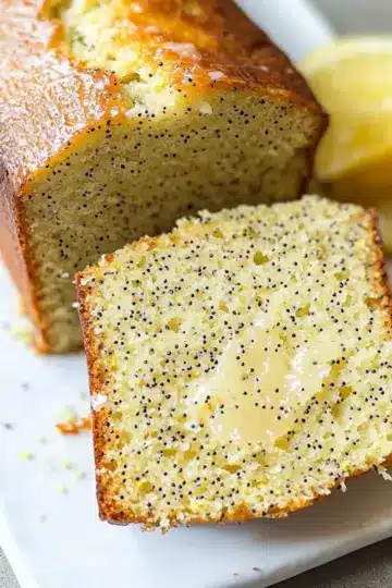 1d371716 a0f5 44f1 b844 d80ae6558730tl zoirwt